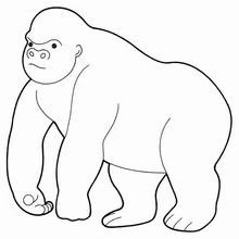 Malvorlage Gorilla beim Laufen auf allen vieren
