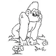 Malvorlage Gorilla läuft auf allen vieren im Gras