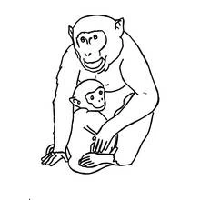 Malvorlage Gorilla hält sein Baby im Arm