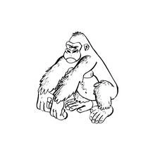 Malvorlage Gorilla sitzt mit verschränkten Armen