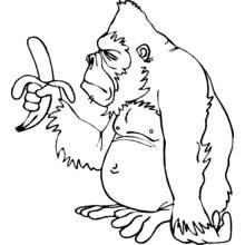 Malvorlage Gorilla hält eine geschälte Banane