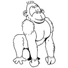 Malvorlage Gorilla auf allen vieren stehend
