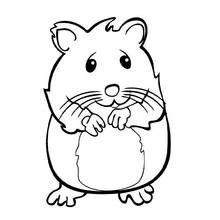 Hamster - Kostenlose Ausmalbilder zum Ausdrucken