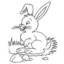 Malvorlage Hase sitzt im Gras Malvorlage Hase sitzt im Gras
