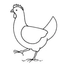 Malvorlage Huhn beim Gehen im Profil