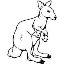 Känguru - Kostenlose Ausmalbilder zum Ausdrucken