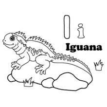Leguan - Kostenlose Ausmalbilder zum Ausdrucken