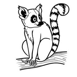 Malvorlage Lemur sitzt auf einem Ast