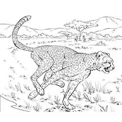 Malvorlage Leopard läuft durch die Savanne