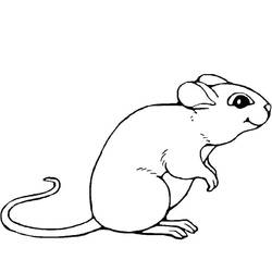Malvorlage Maus sitzt aufrecht mit langem geschwungenem Schwanz