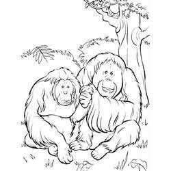 Malvorlage Orang-Utan Paar sitzt zusammen im Dschungel