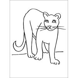 Puma - Kostenlose Ausmalbilder zum Ausdrucken