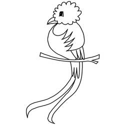 Quetzal - Kostenlose Ausmalbilder zum Ausdrucken