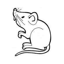 Ratte - Kostenlose Ausmalbilder zum Ausdrucken