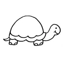 Schildkröte - Kostenlose Ausmalbilder zum Ausdrucken