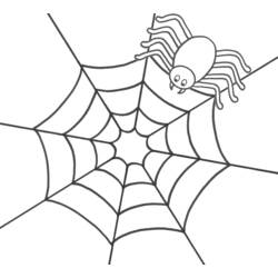 Spinne - Kostenlose Ausmalbilder zum Ausdrucken