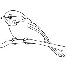 Malvorlage Kleiner Vogel sitzt auf einem Ast Malvorlage Kleiner Vogel sitzt auf einem Ast