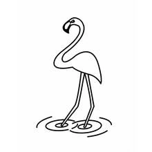 Malvorlage Flamingo steht im Wasser Malvorlage Flamingo steht im Wasser