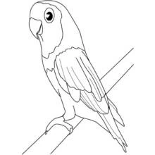 Malvorlage Vogel sitzt auf einem Ast Malvorlage Vogel sitzt auf einem Ast