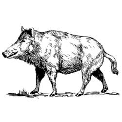 Malvorlage Wildschwein läuft über eine Wiese