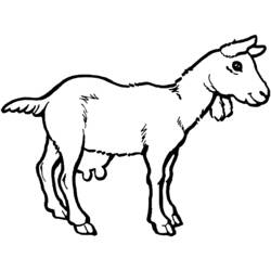 Malvorlage Ziege im Profil stehend