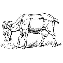 Malvorlage Ziege beim Grasen