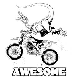 Motocross Ausmalbild #209991 zum Ausdrucken und Ausmalen Motocross Ausmalbild #209991 zum Ausdrucken und Ausmalen