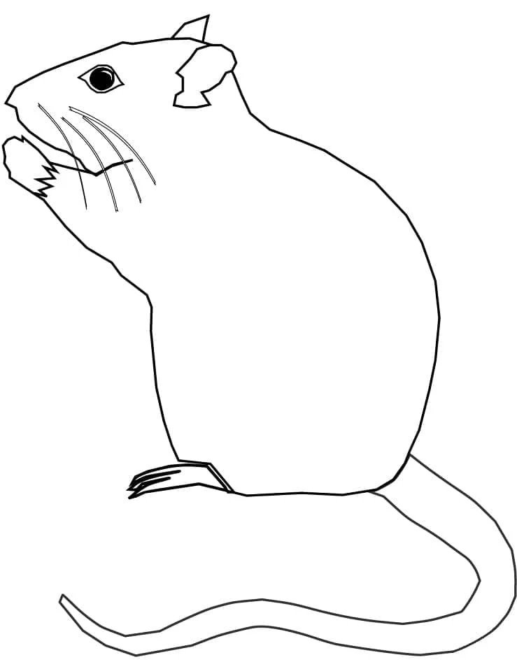 Malvorlage Ratte sitzt und knabbert