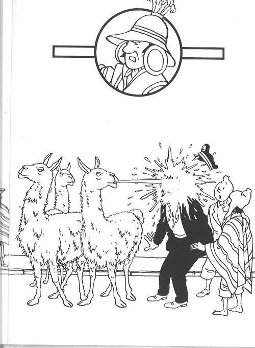 Malvorlage Tintin von Lamas bespuckt