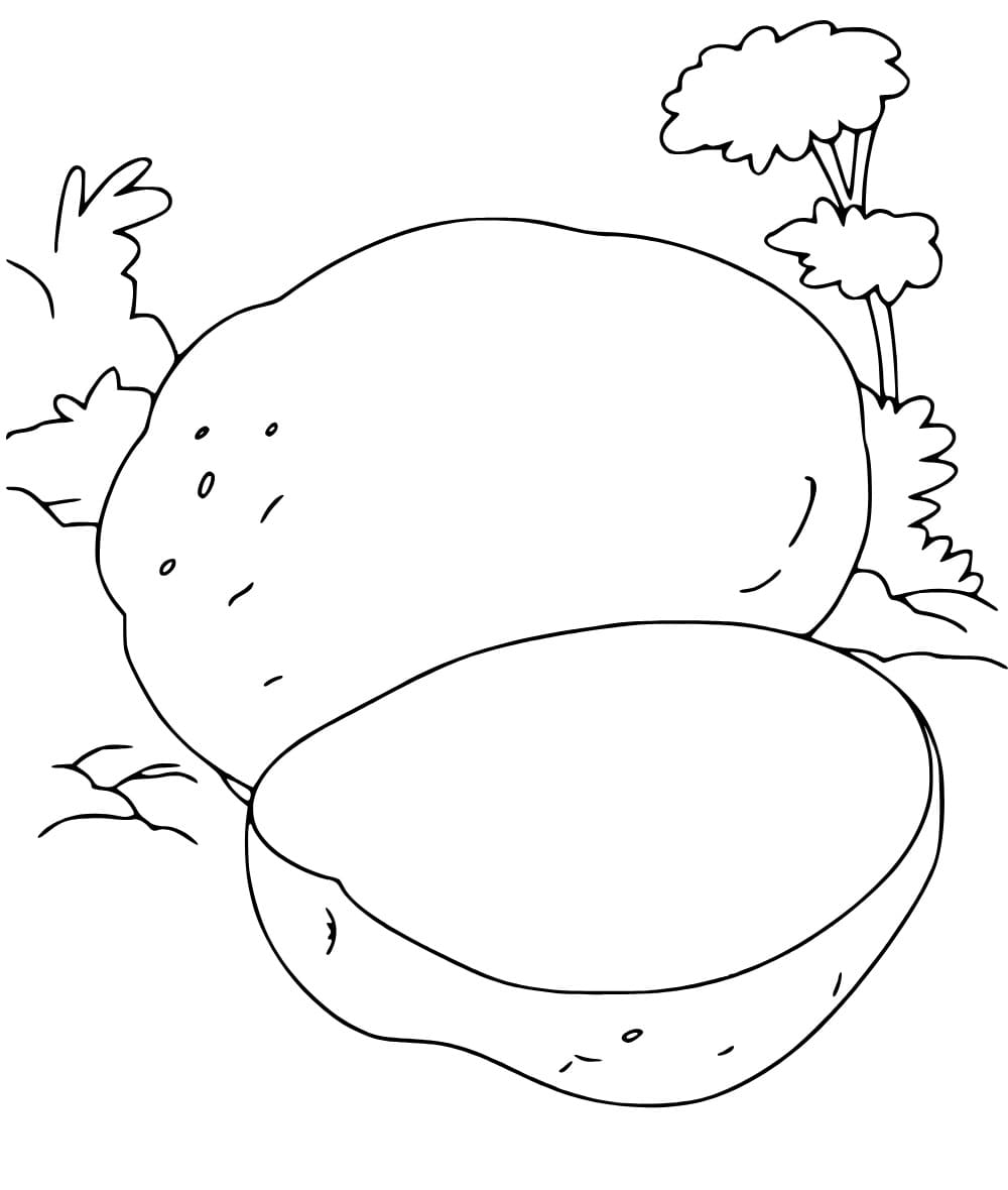 Malvorlage: Kartoffel (Essen und Ernährung) #207413 - Kostenlose Malvorlagen zum Ausdrucken