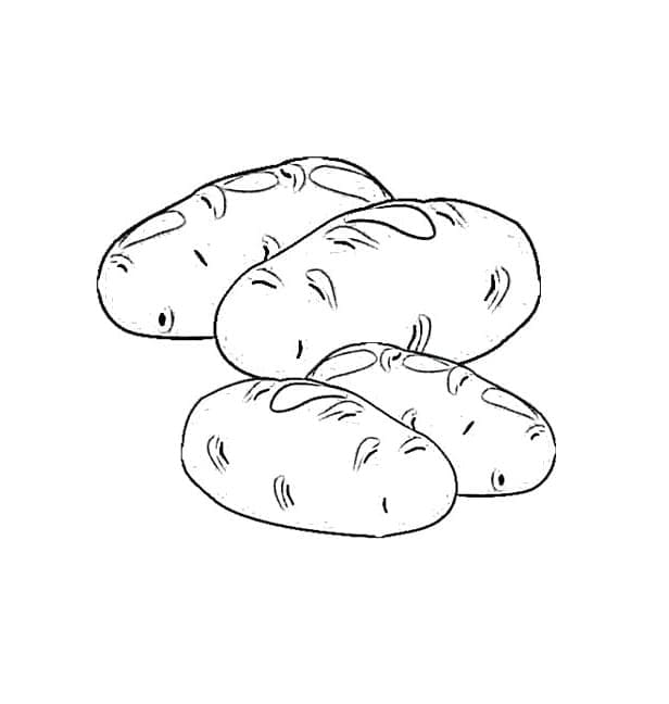 Malvorlage: Kartoffel (Essen und Ernährung) #207417 - Kostenlose Malvorlagen zum Ausdrucken