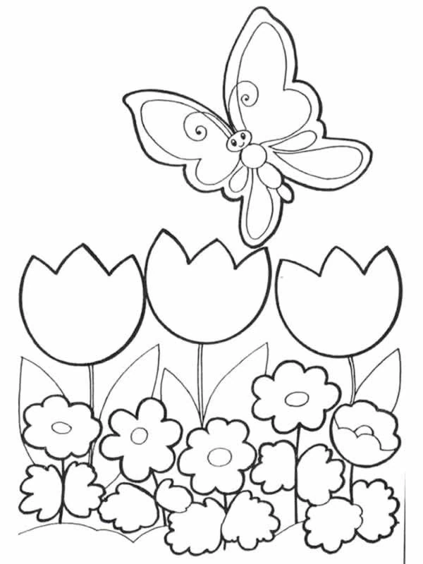 Malvorlage Schmetterling fliegt über Tulpen und Blumen
