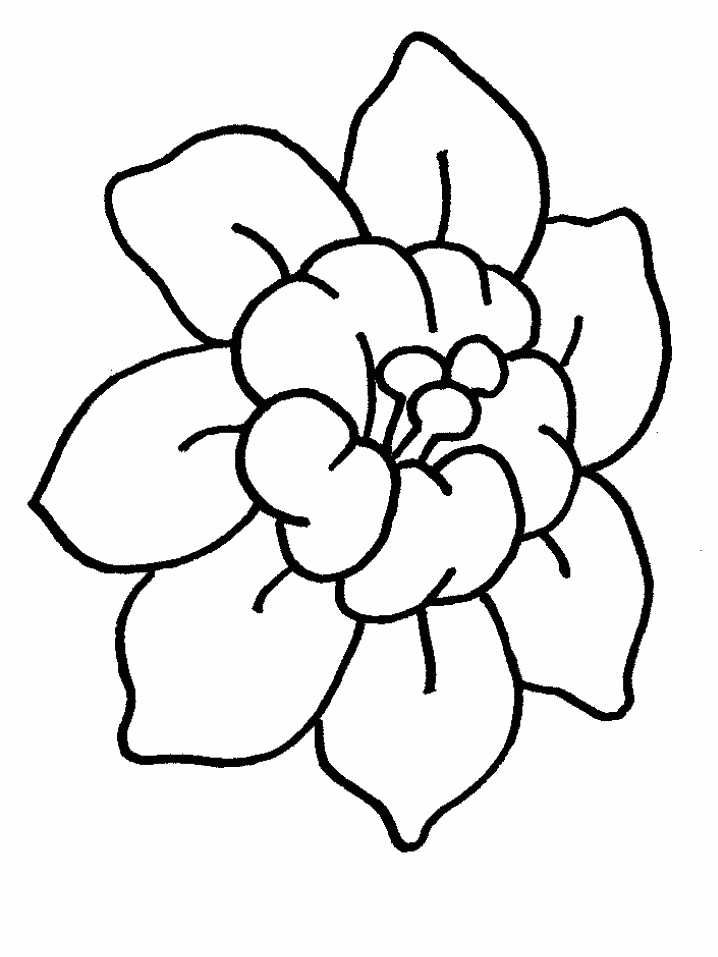 Malvorlage Große Blume in voller Blüte