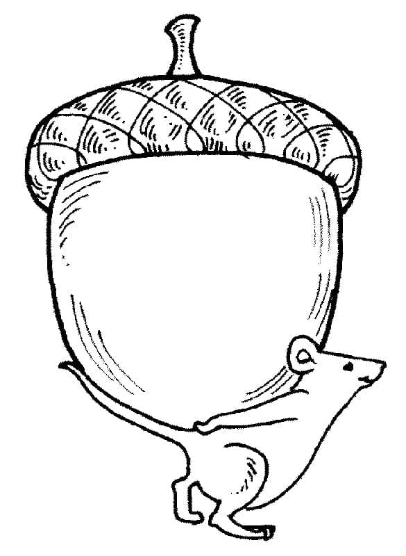 Malvorlage: Eichel (Natur und Jahreszeiten) #218518 - Kostenlose Malvorlagen zum Ausdrucken