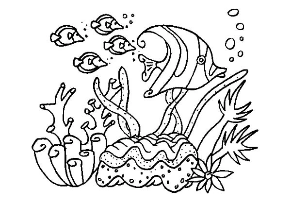Malvorlage Koralle mit einer Fischgruppe im Riff