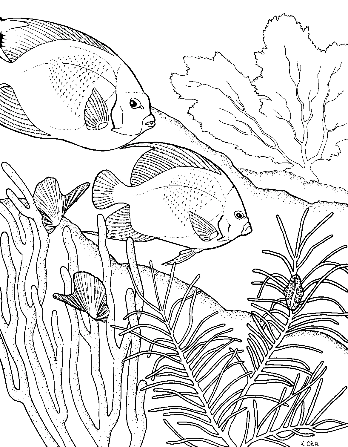 Malvorlage Zwei Fische schwimmen über einer Koralle