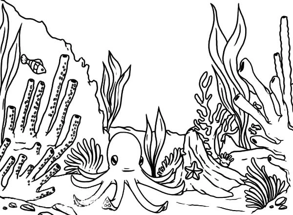 Malvorlage Oktopus ruht in einem Korallenriff