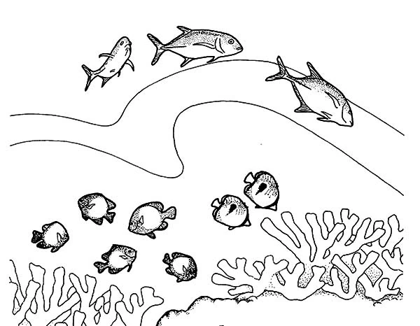 Malvorlage Koralle mit darüber schwimmenden Fischen
