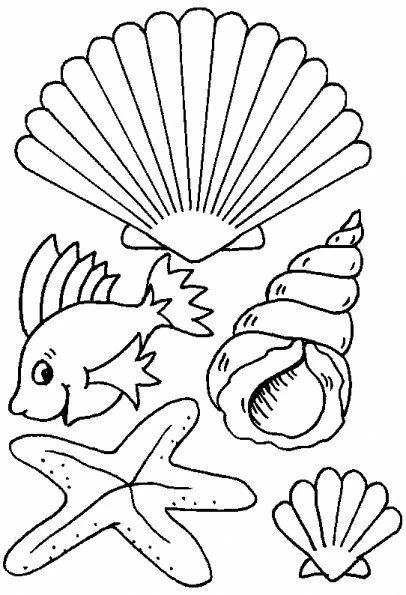 Malvorlage Muschel mit Fisch und Seestern