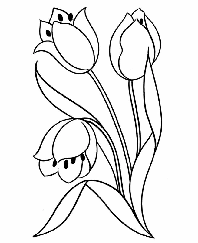 Malvorlage Tulpe Trio mit langen Stielen und Blättern