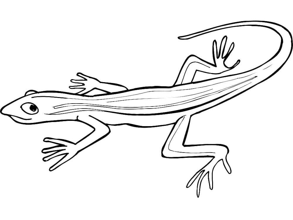 Malvorlage: Echse (Tiere) #179631 - Kostenlose Malvorlagen zum Ausdrucken