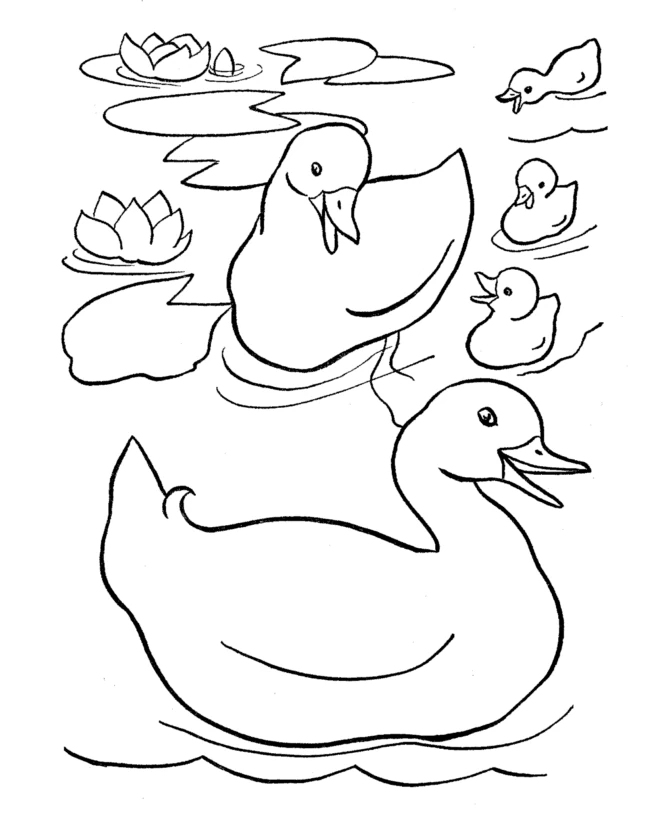 Malvorlage Ente Familie schwimmt auf einem Teich