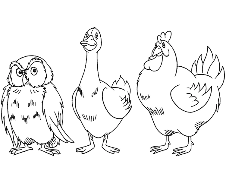 Malvorlage Gans zwischen einer Eule und einem Huhn stehend