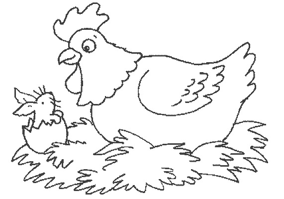 Malvorlage Huhn beobachtet ein schlüpfendes Küken