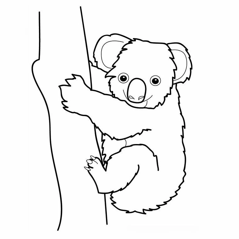 Malvorlage Koala klammert sich an einen Baumstamm