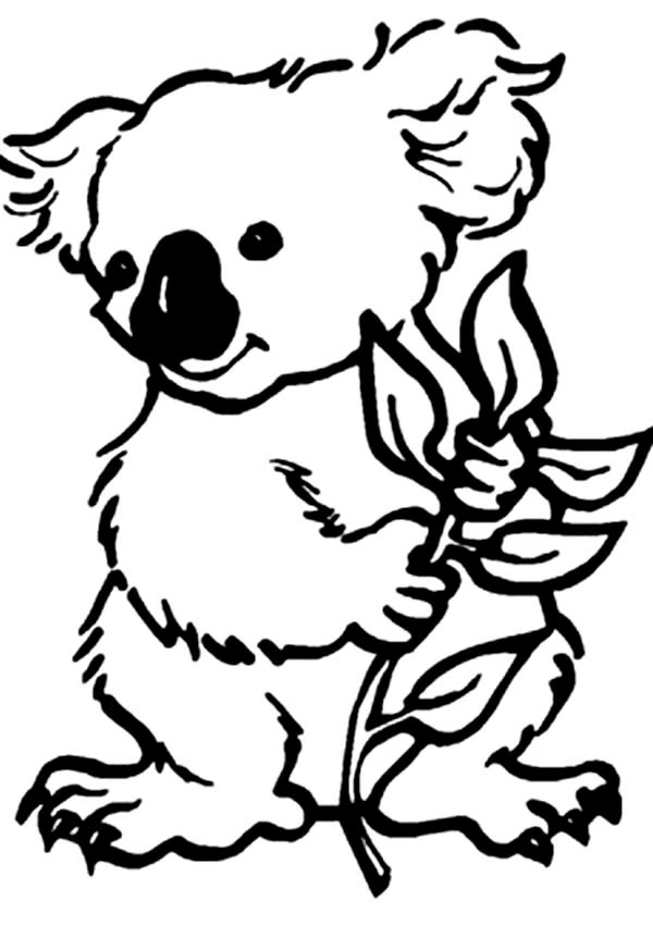 Malvorlage Koala hält einen Eukalyptuszweig