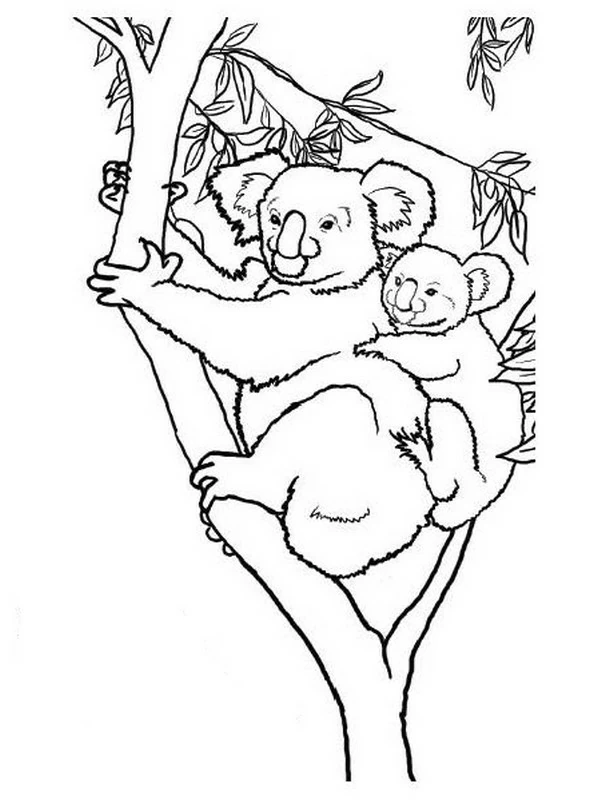 Malvorlage Koala-Mutter und Baby klettern auf einen Baum