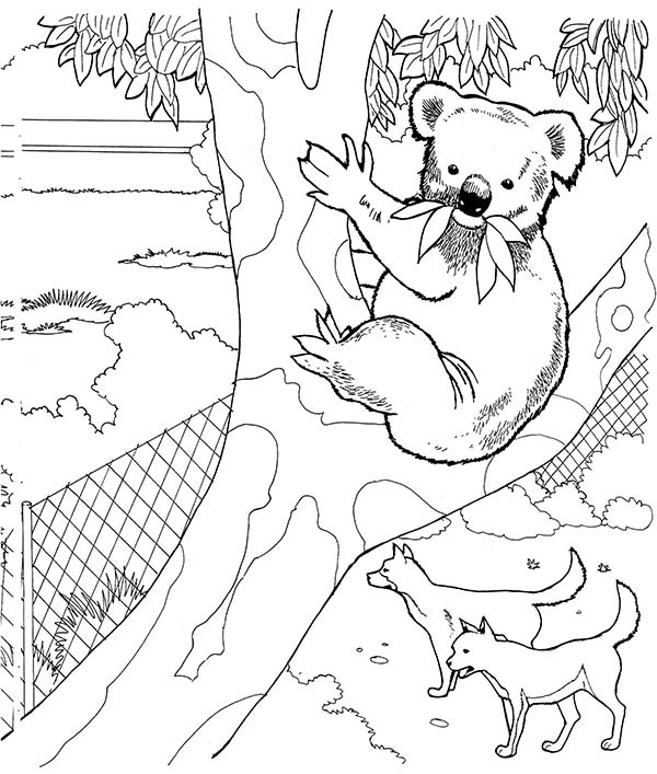 Malvorlage Koala klettert auf einem Baum im Zoo