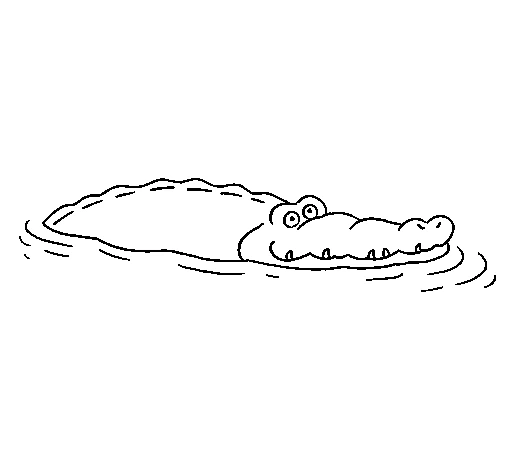 Malvorlage Krokodil im Wasser schwimmend