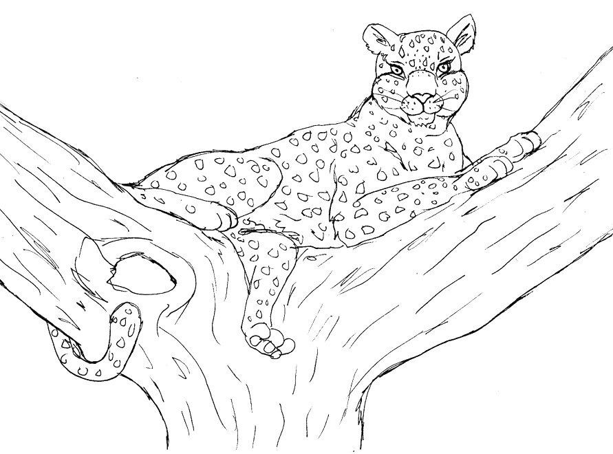 Malvorlage Leopard liegt auf einem Ast
